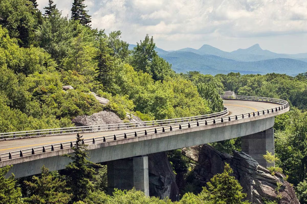 hidden-wonders-of-virginias-buffalo-mountain-balds