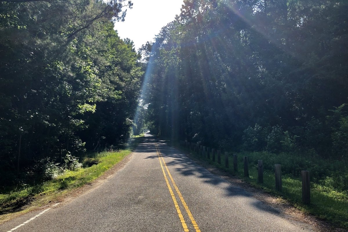 hidden-wonders-of-virginias-dismal-swamp-canal-trail