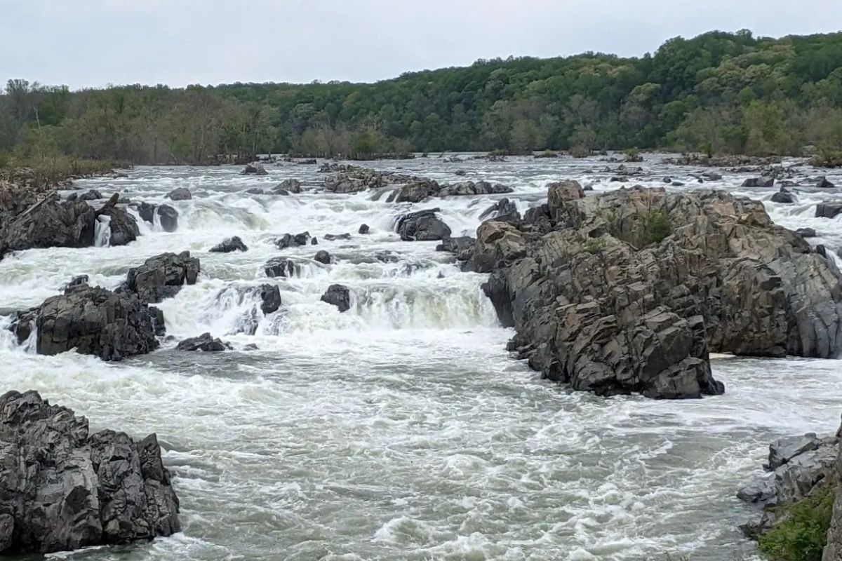 hidden-wonders-of-virginias-great-falls-park-mather-gorge