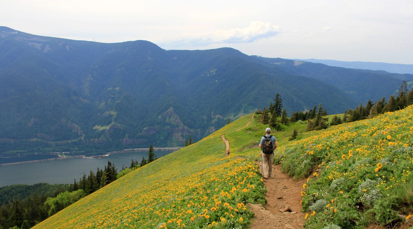 hidden-wonders-of-washingtons-columbia-river-gorge-dog-mountain