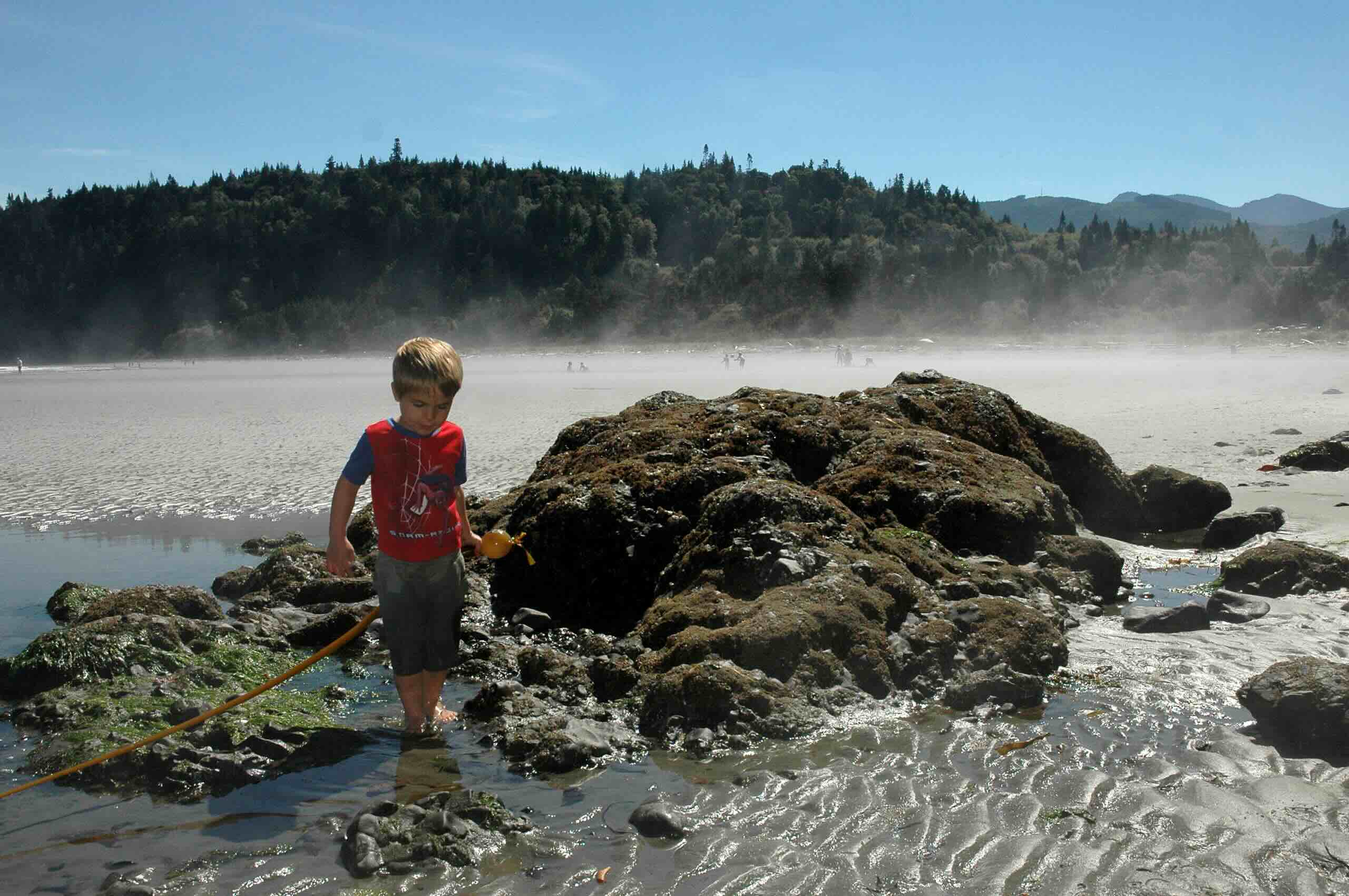 Hidden-Wonders-Of-Washington8217s-Olympic-Peninsula-Tidal-Pools hidden-wonders-of-washingtons-olympic-peninsula-tidal-pools