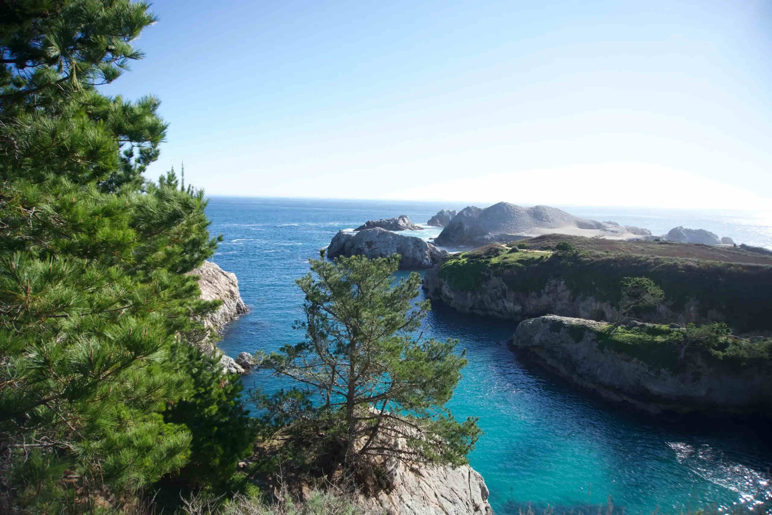 Iridescent-Tidal-Pools-Of-Point-Lobos-Await-You iridescent-tidal-pools-of-point-lobos-await-you