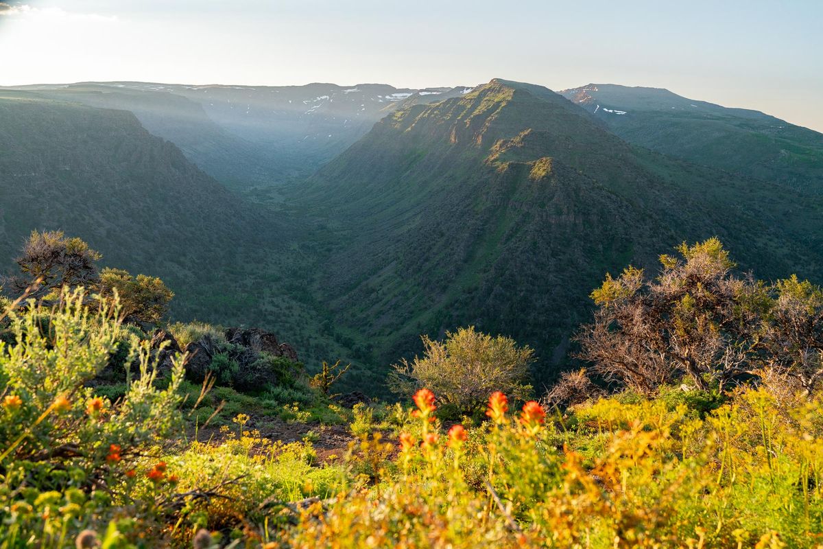 kaleidoscope-high-desert-meadows-of-oregons-steens-mountain-awaits