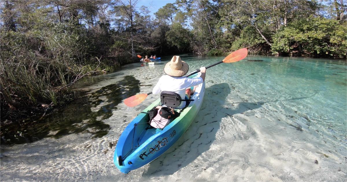 Kayaking-The-Hidden-Springs-Of-Florida8217s-Weeki-Wachee kayaking-the-hidden-springs-of-floridas-weeki-wachee