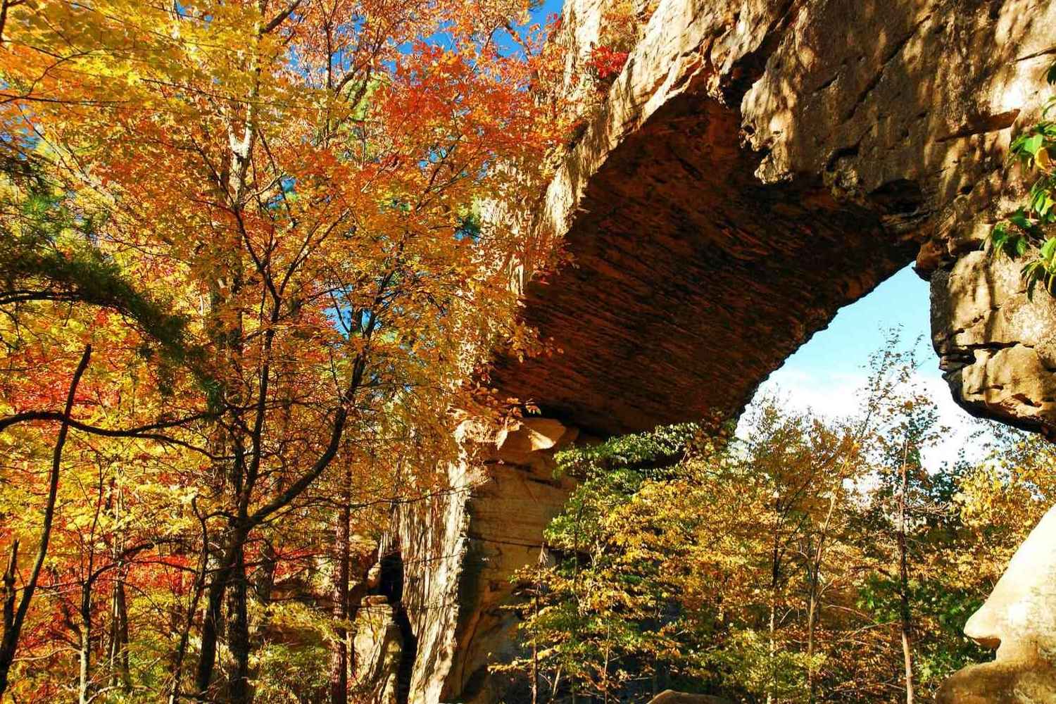 kentuckys-natural-bridge-state-resort-park-trail-mysteries