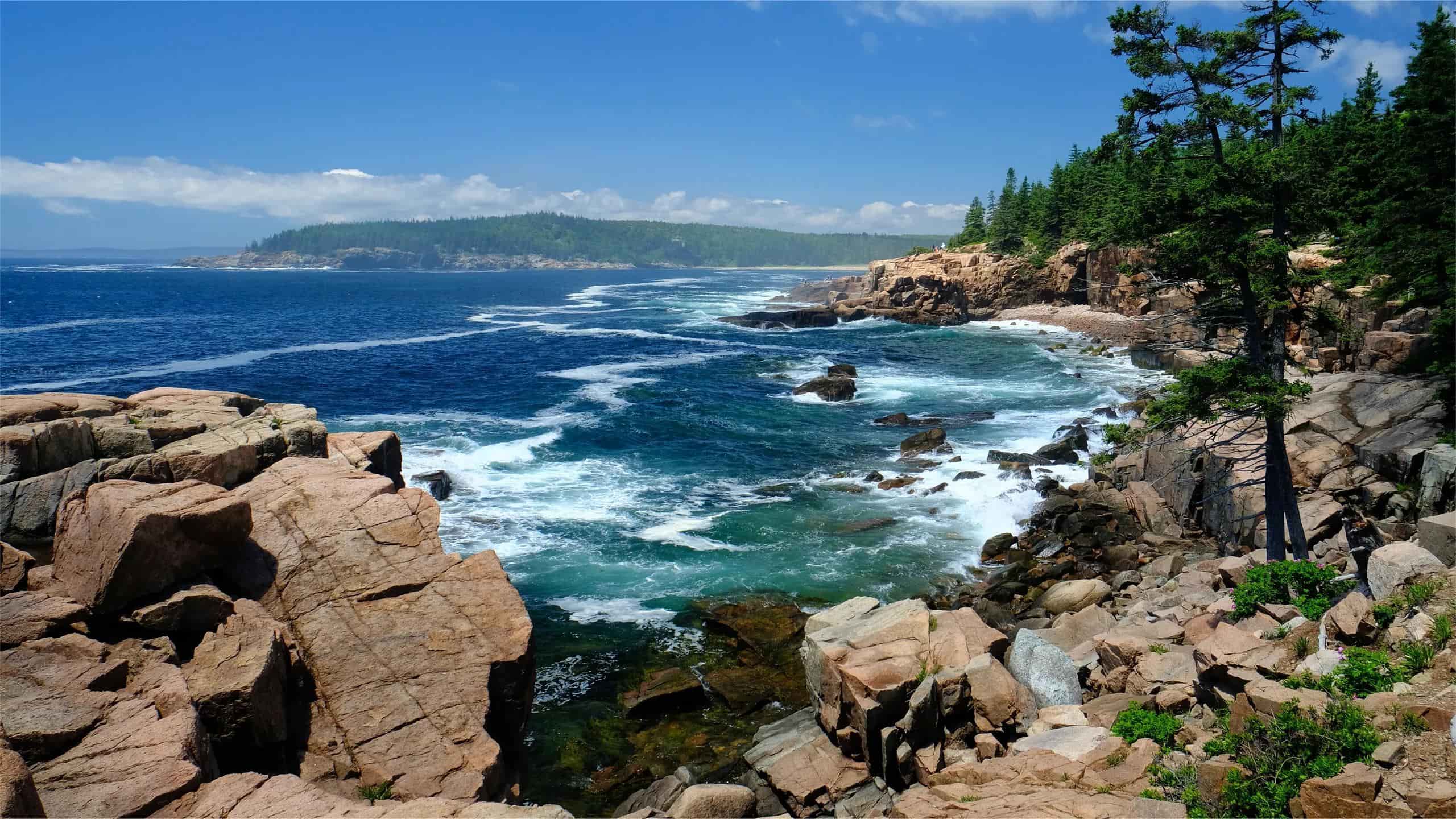 Maine8217s-Acadia-National-Park-And-Its-Mysterious-Floating-Peat-Islands maines-acadia-national-park-and-its-mysterious-floating-peat-islands
