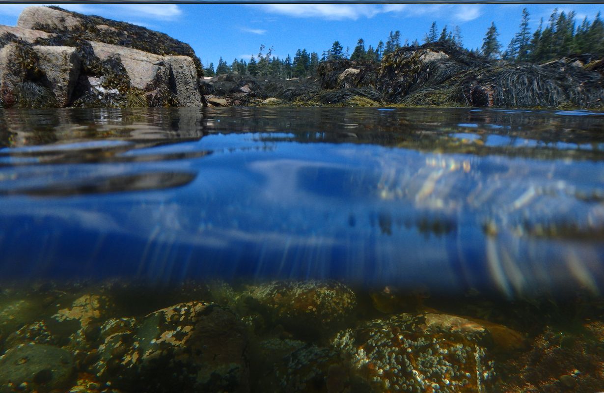 maines-acadia-national-park-tidal-pools-await-you