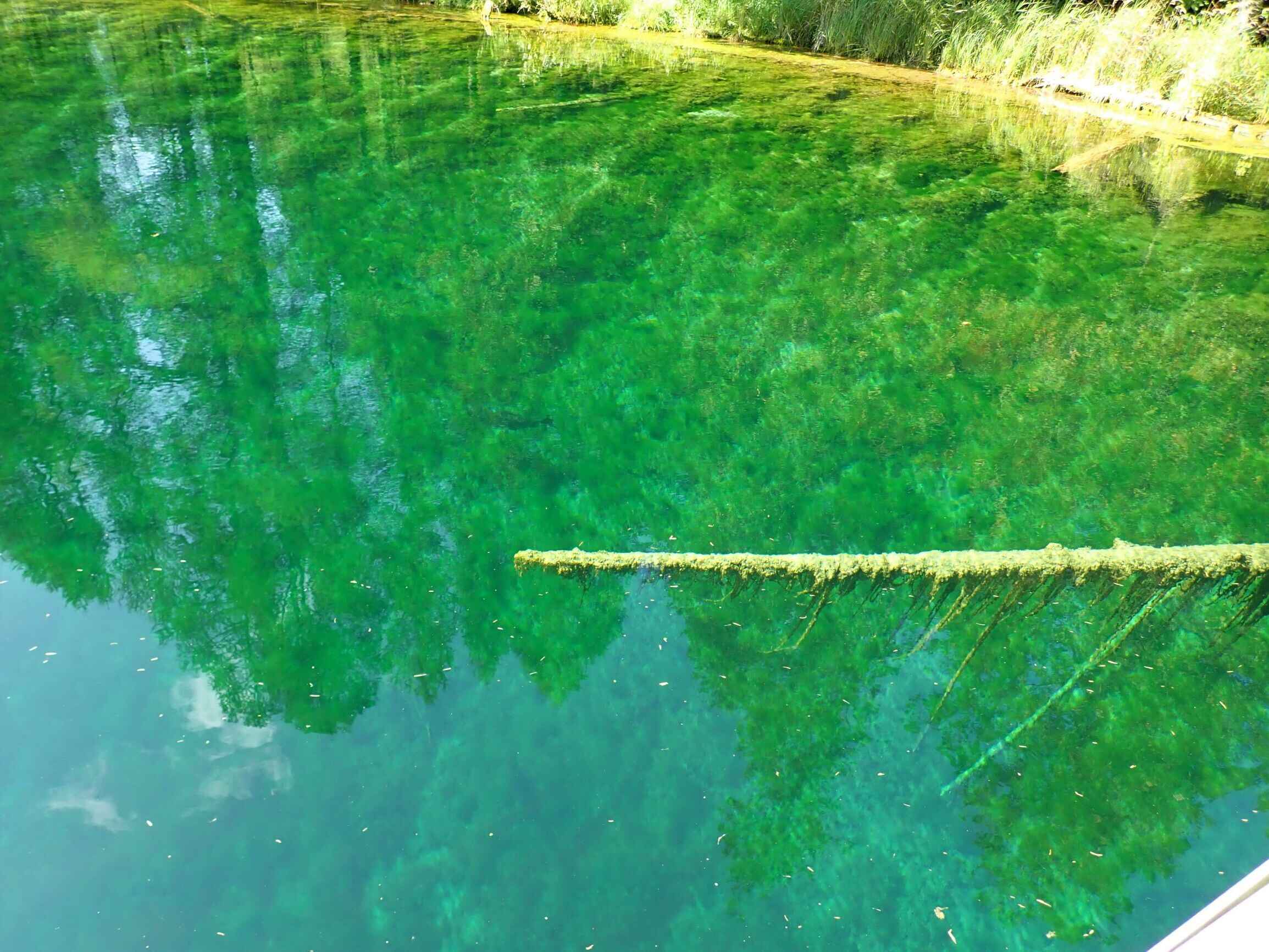 michigans-kitch-iti-kipi-bubbling-springs-revealed