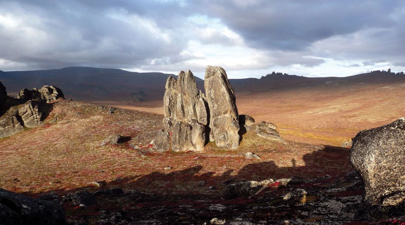 michigans-pigeon-river-country-elk-range-revealed