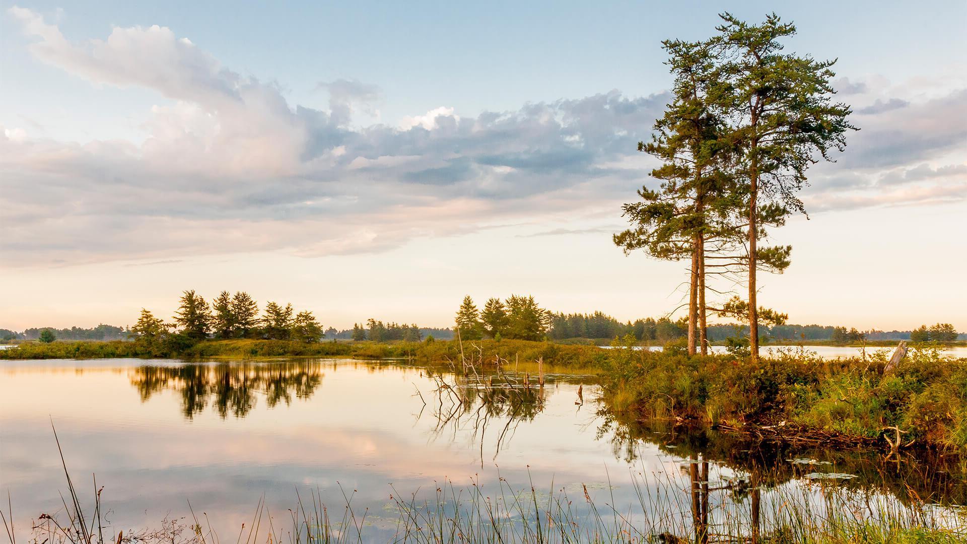 michigans-seney-national-wildlife-refuge-marshbird-auto-tour-secrets