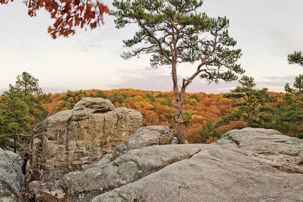 missouris-pickle-springs-natural-area-revealed