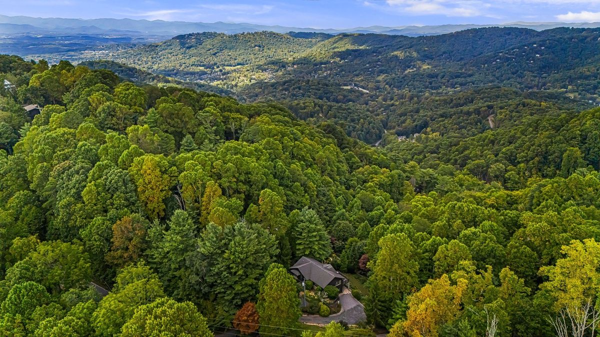 Misty-Dawn-Mountain-Orchards-In-North-Carolina misty-dawn-mountain-orchards-in-north-carolina