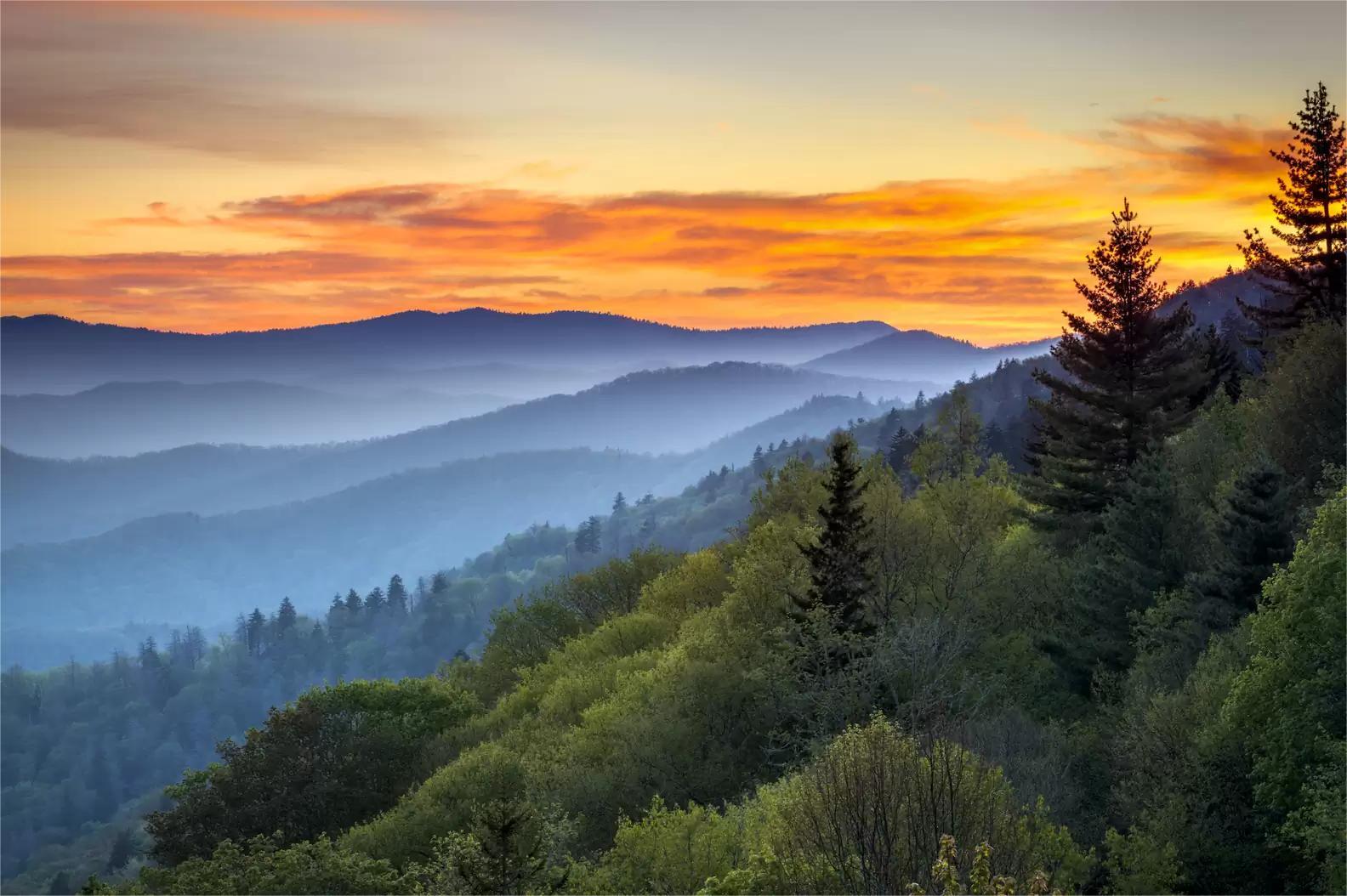 misty-morning-valleys-of-north-carolinas-great-smoky-mountains-await
