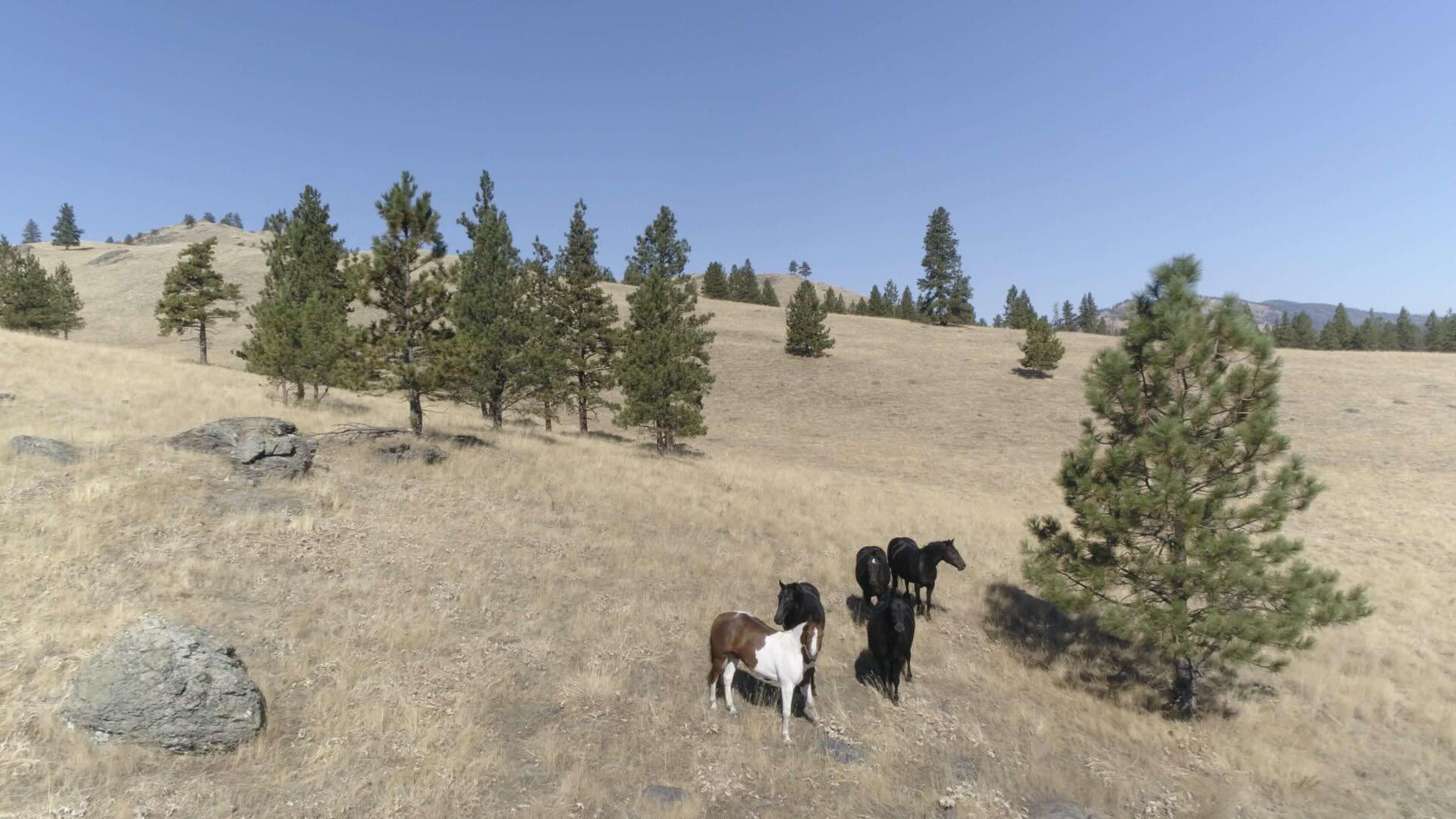 montanas-wild-horse-island-state-park-secrets