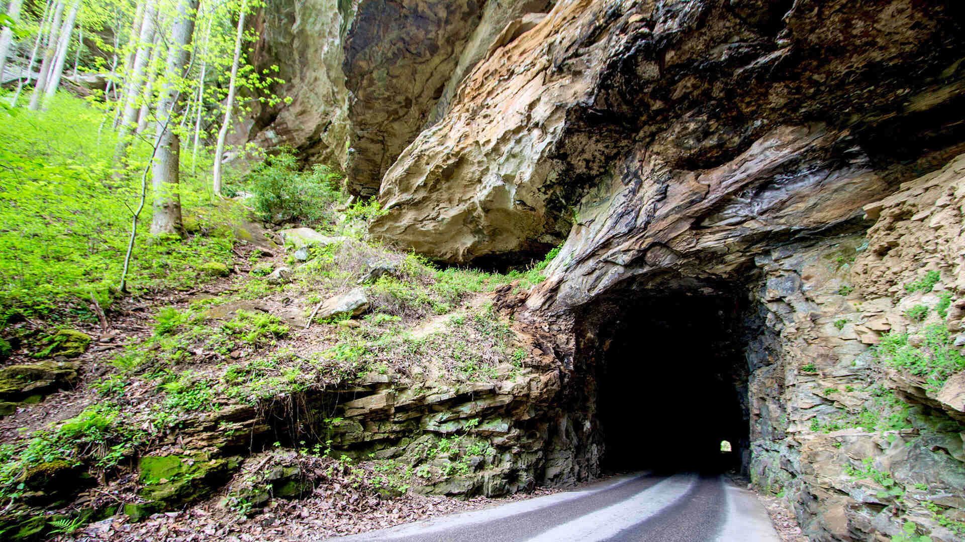 Moonshine-Hollow-Mysteries-Of-Kentucky8217s-Red-River-Gorge moonshine-hollow-mysteries-of-kentuckys-red-river-gorge