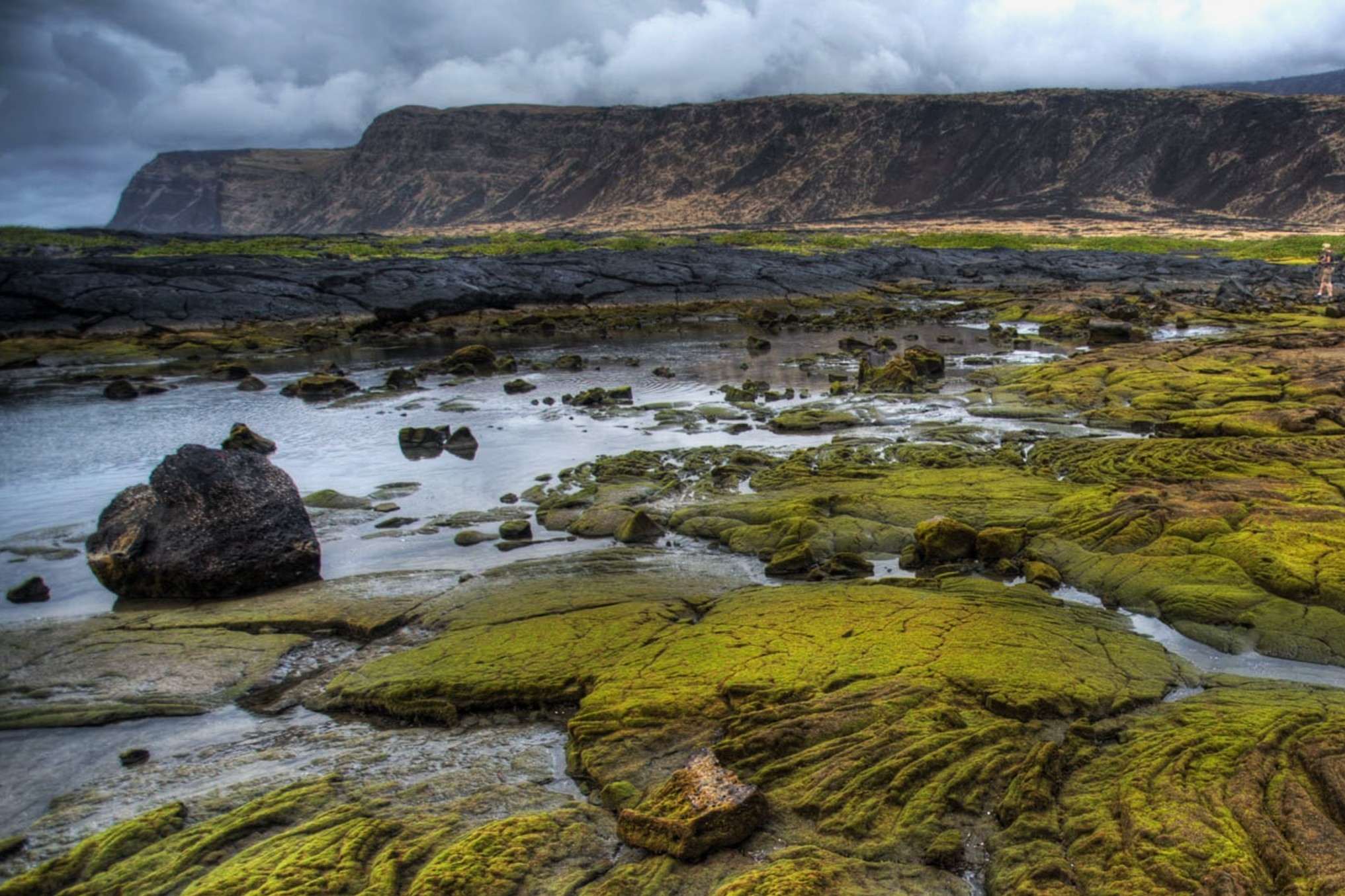 moss-covered-lava-flows-of-hawaiis-volcanoes