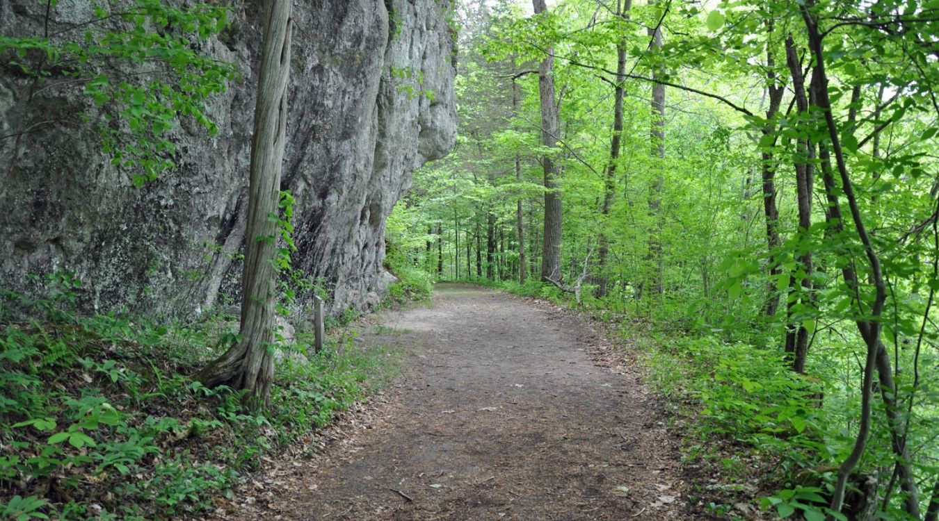 Mysteries-Of-Bartholomew8217s-Cobble-Limestone-Forest-In-Massachusetts mysteries-of-bartholomews-cobble-limestone-forest-in-massachusetts