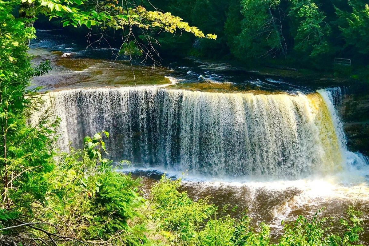 mysteries-of-michigans-tahquamenon-falls-tannin-waters