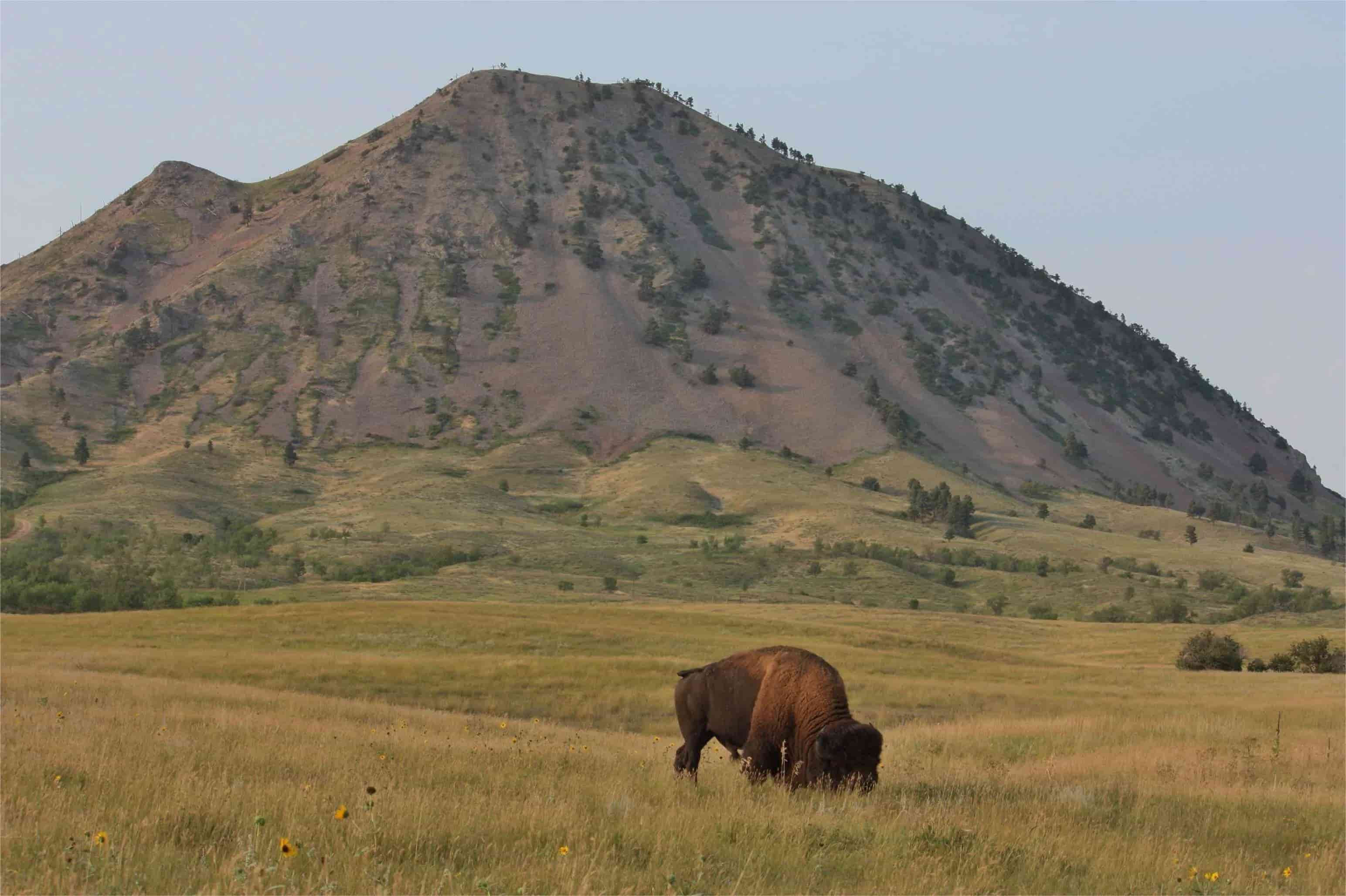 mysteries-of-south-dakotas-bear-butte-state-park
