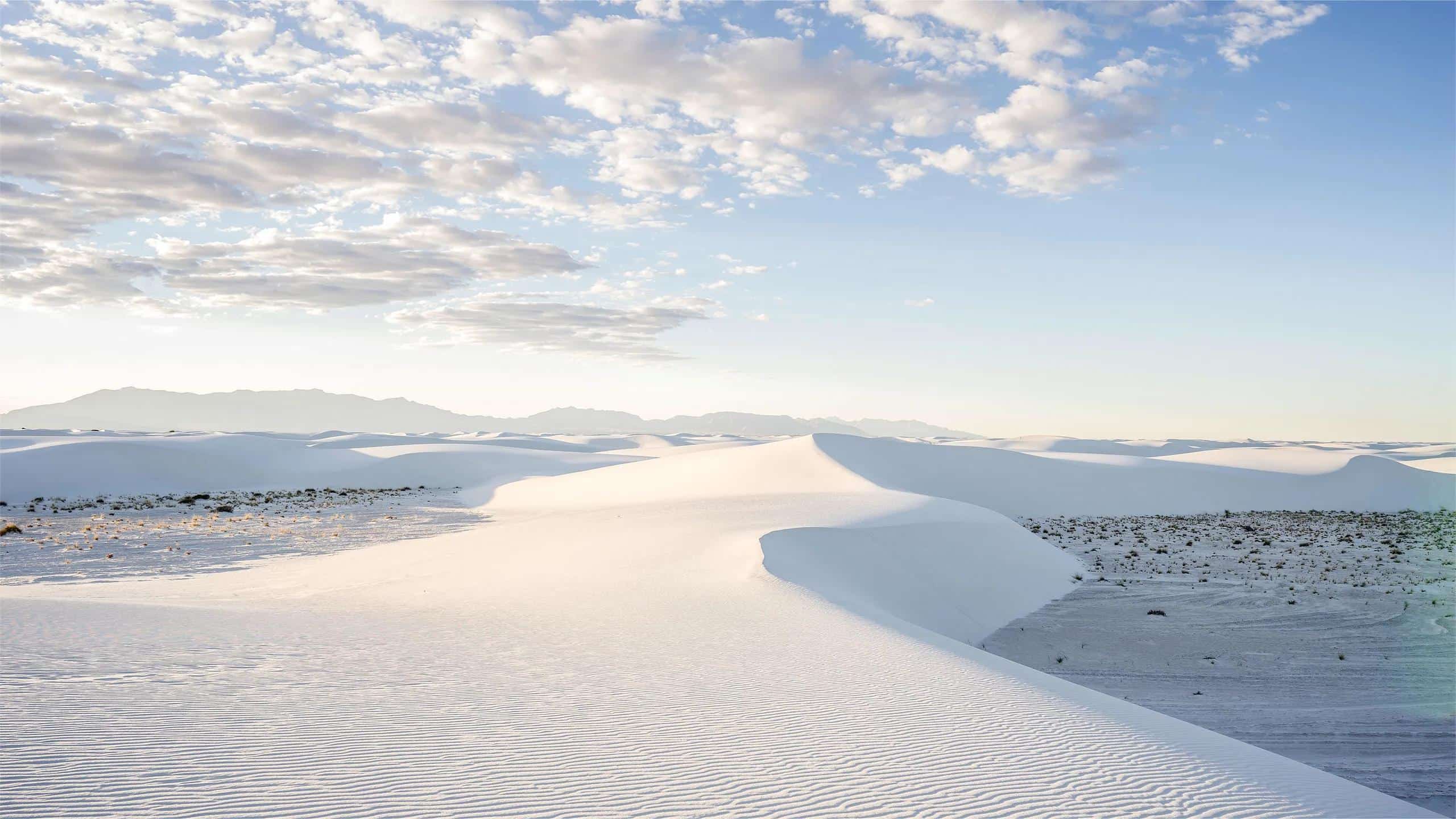 Mysterious-Dawn-Reflections-In-New-Mexico8217s-White-Sands mysterious-dawn-reflections-in-new-mexicos-white-sands
