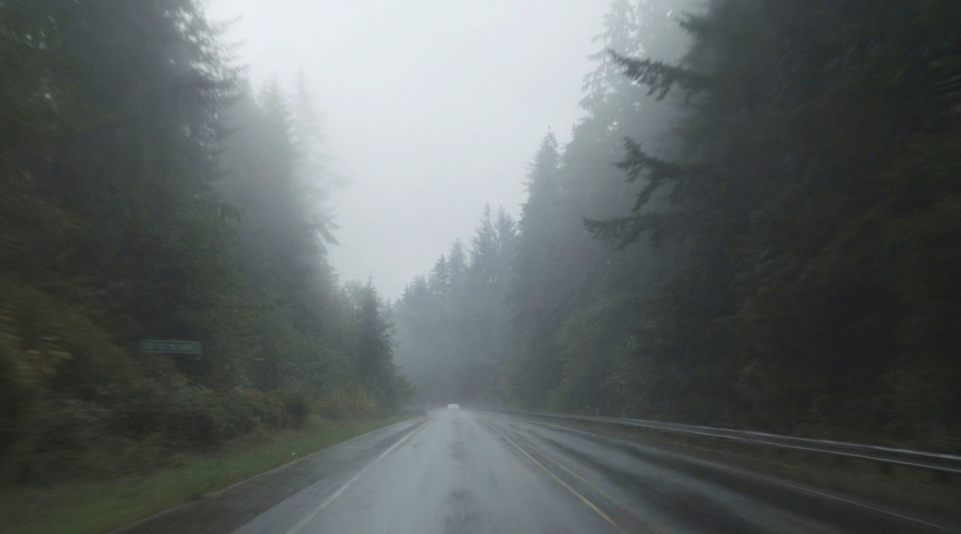 Mysterious-Fog-Forests-Of-Washington8217s-Olympic-Peninsula mysterious-fog-forests-of-washingtons-olympic-peninsula