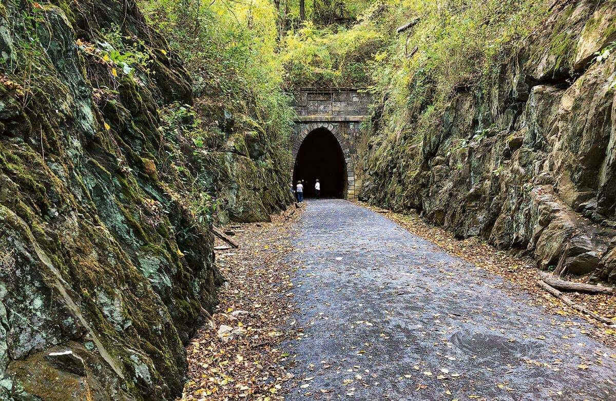 Mysterious-Fog-Wrapped-Forest-Tunnels-In-Virginia8217s-Shenandoah mysterious-fog-wrapped-forest-tunnels-in-virginias-shenandoah