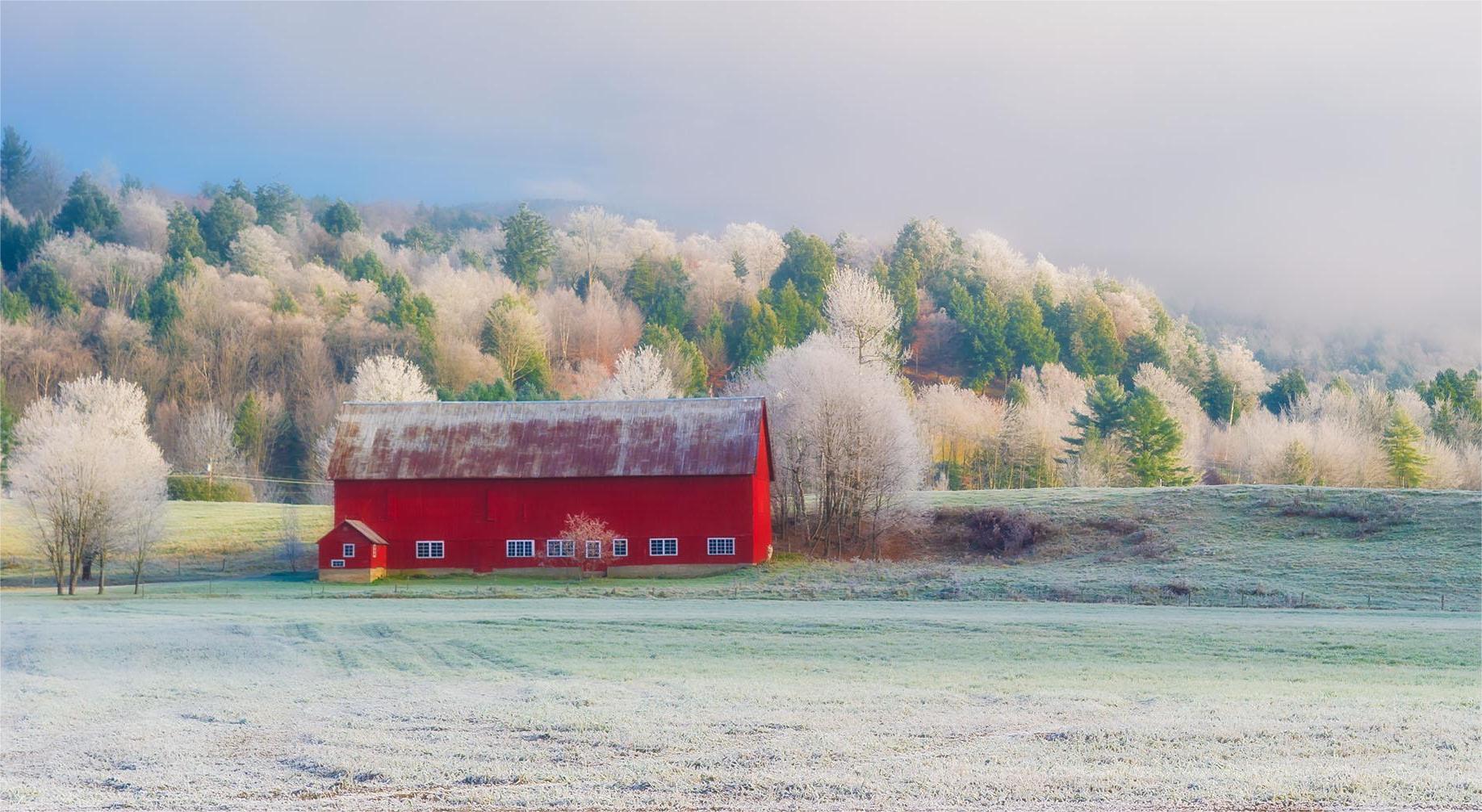 Mysterious-Frosty-Meadows-Of-Roan-Mountain mysterious-frosty-meadows-of-roan-mountain