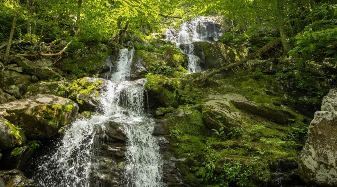 Mysterious-Mist-Pools-Of-Virginia8217s-Shenandoah-Valley mysterious-mist-pools-of-virginias-shenandoah-valley