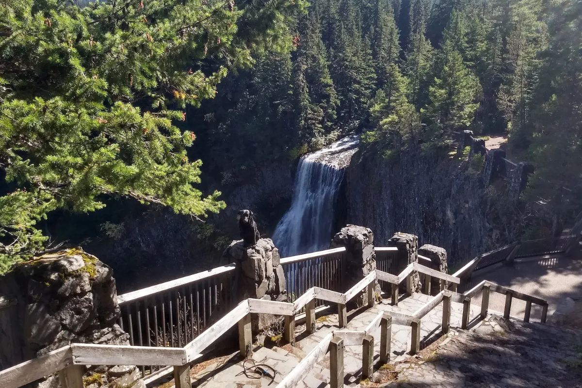 mysterious-waterfall-staircases-of-oregons-sweet-creek