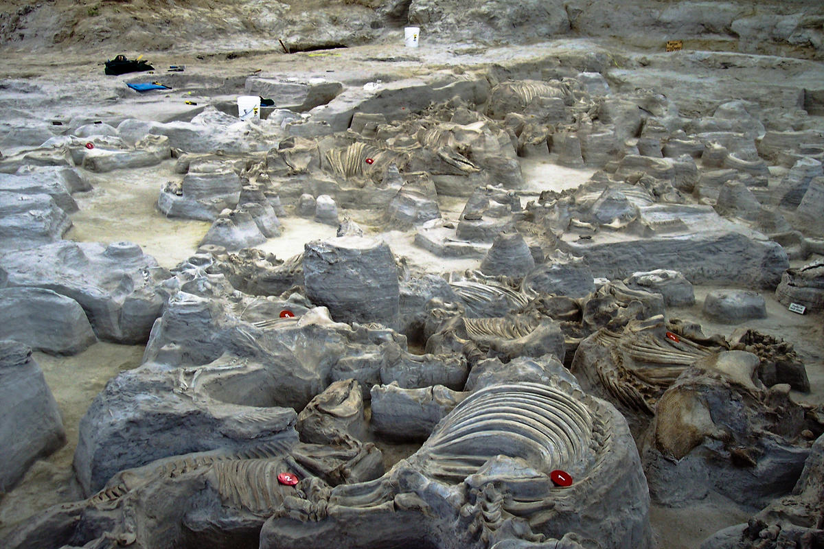 Nebraska8217s-Hidden-Fossil-Beds-And-Agate-Fields nebraskas-hidden-fossil-beds-and-agate-fields