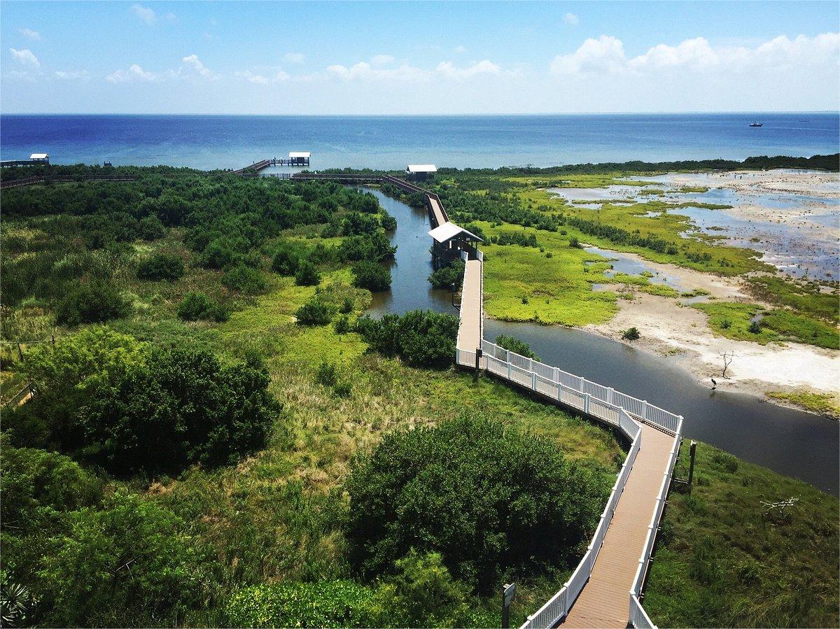 secret-bird-sanctuaries-of-south-padre-island