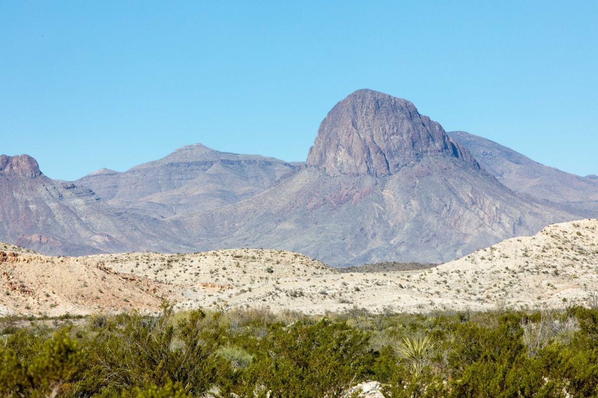 Secret-Desert-Blooms-Of-Texas8217s-Big-Bend-Wilderness secret-desert-blooms-of-texass-big-bend-wilderness
