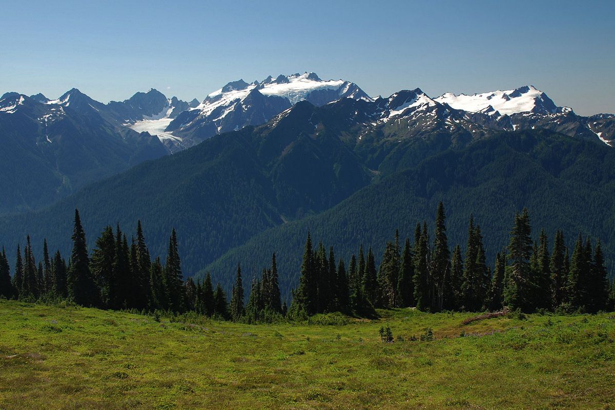 Secret-Salmon-Streams-In-Washington8217s-Olympic-Range secret-salmon-streams-in-washingtons-olympic-range