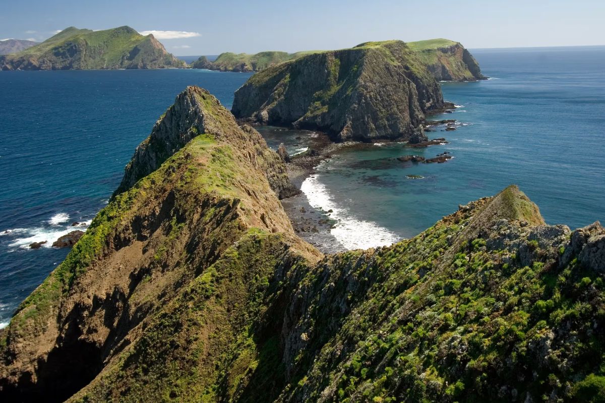 secret-sanctuaries-for-endangered-species-in-californias-channel-islands