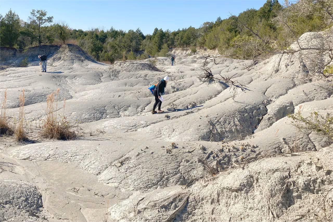 Secrets-Of-Alabama8217s-Ancient-Shell-Middens secrets-of-alabamas-ancient-shell-middens