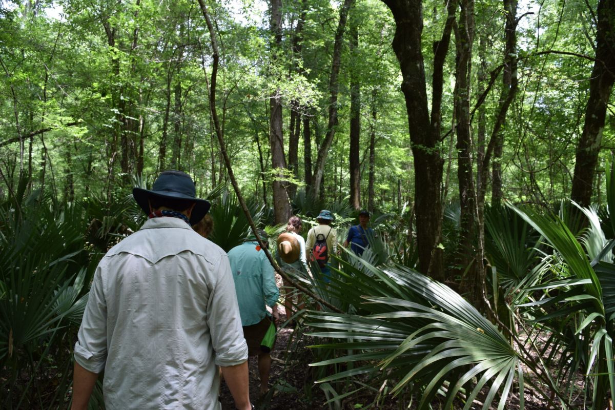 secrets-of-alabamas-bottle-creek-shell-tool-workshops
