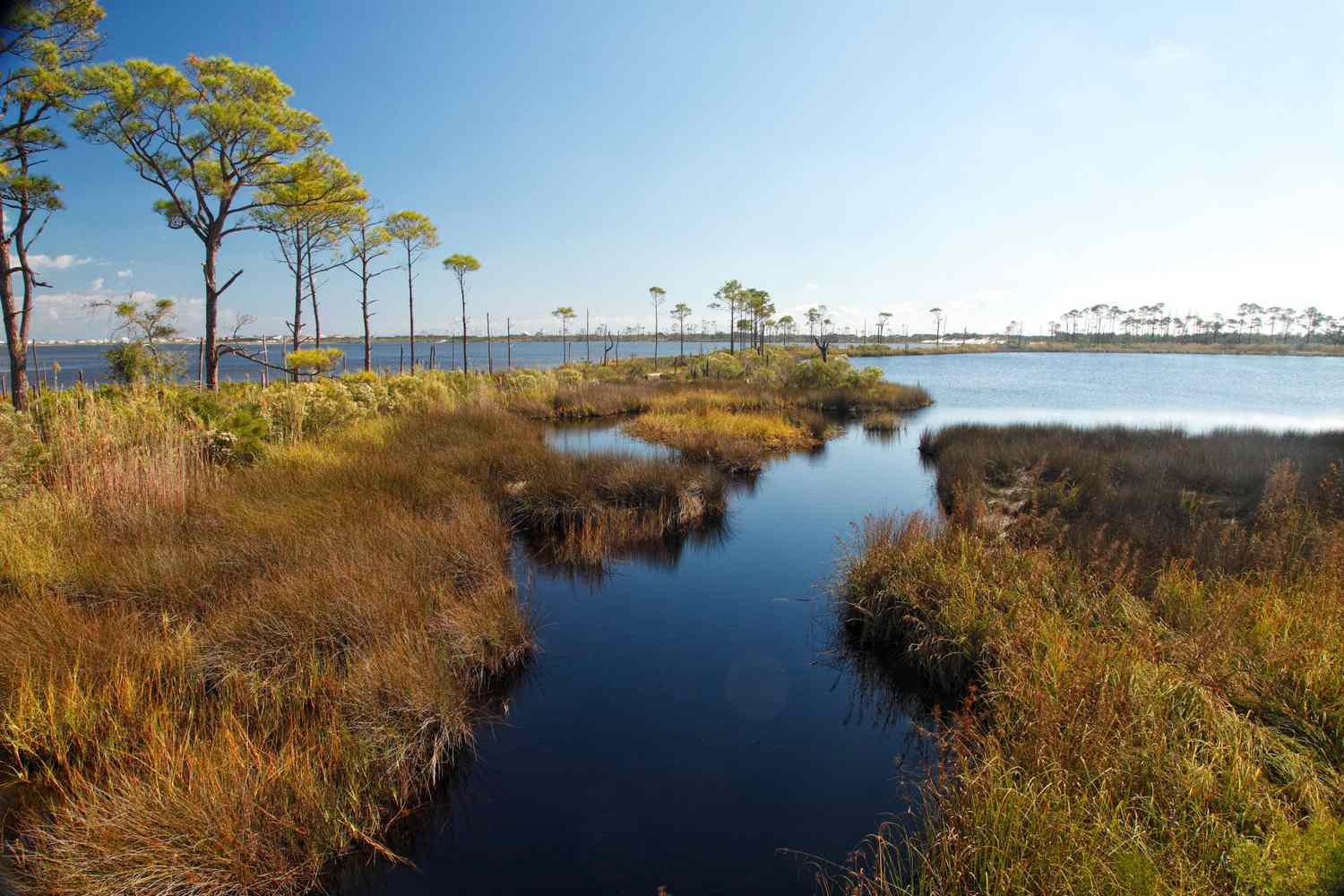 secrets-of-alabamas-emerald-coastal-marshlands