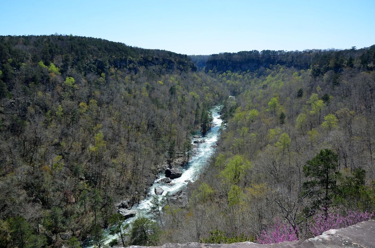 secrets-of-alabamas-little-river-canyon-sandstone-formations