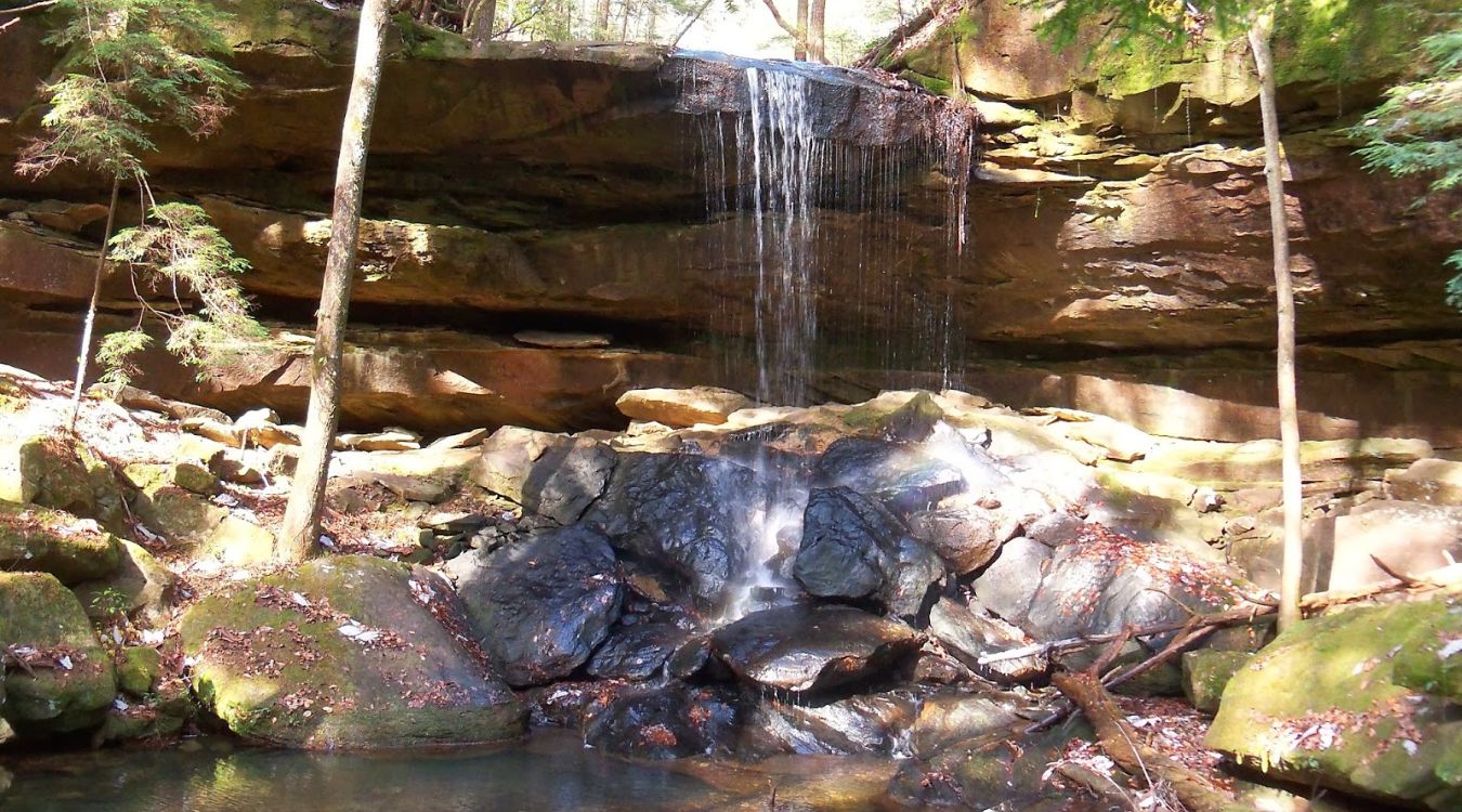secrets-of-alabamas-sipsey-wilderness-waterfalls