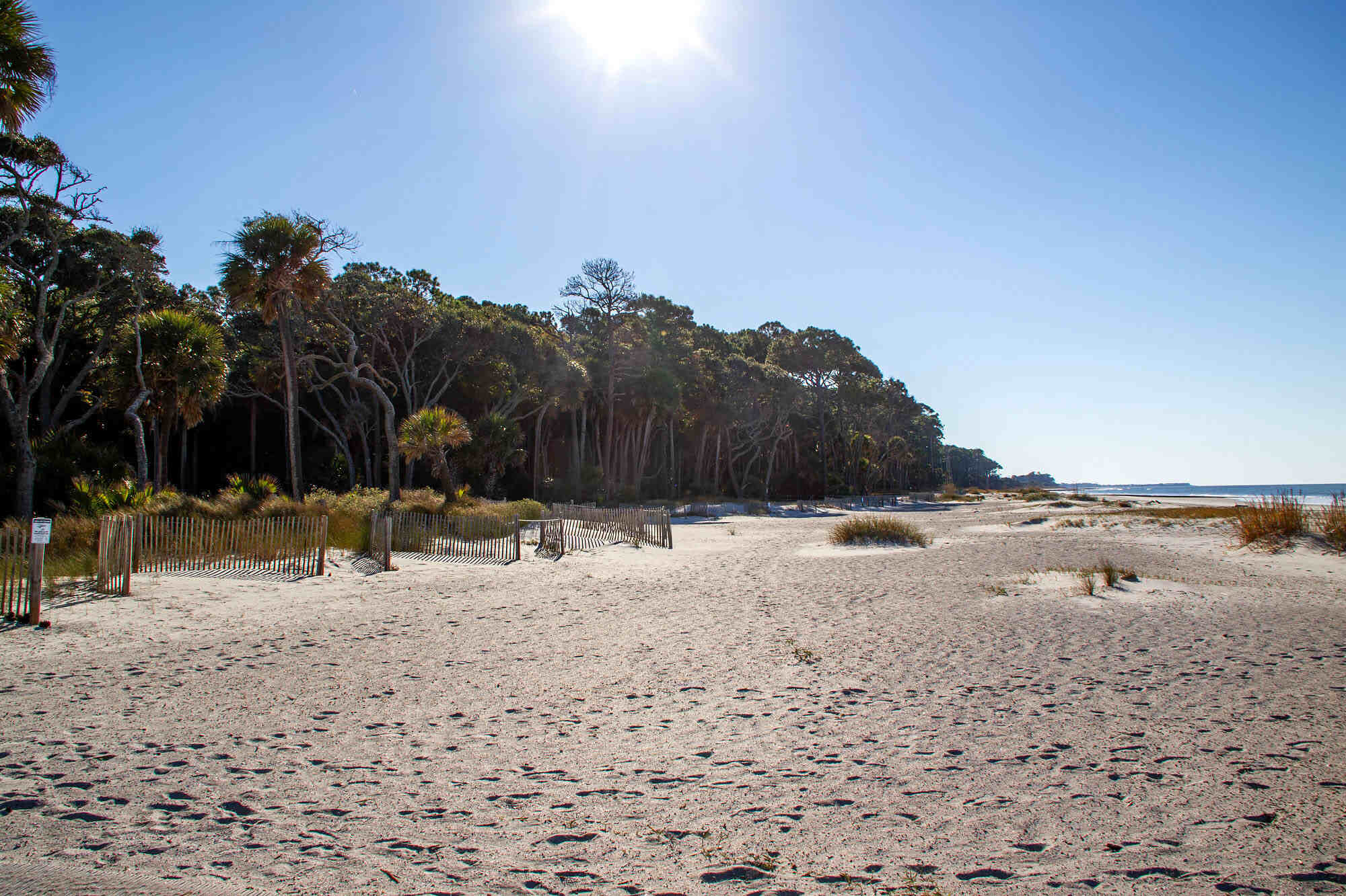 Secrets-Of-Alabaster-Beach-Sand-On-Hunting-Island secrets-of-alabaster-beach-sand-on-hunting-island
