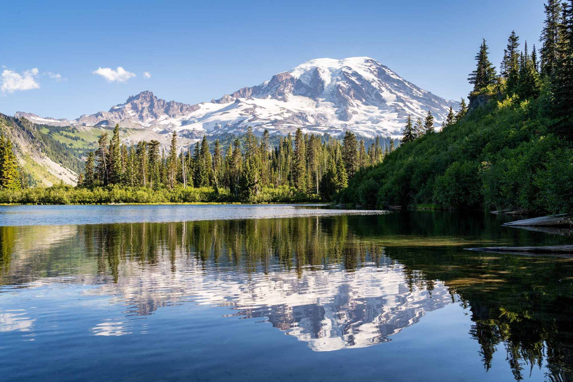 Secrets-Of-Amber-Lit-Forests-At-Dawn-In-Mount-Rainier secrets-of-amber-lit-forests-at-dawn-in-mount-rainier