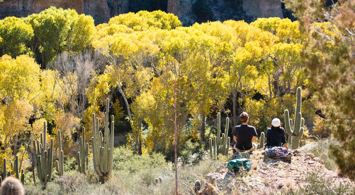 Secrets-Of-Arizona8217s-Aravaipa-Canyon-Riparian-Corridors secrets-of-arizonas-aravaipa-canyon-riparian-corridors