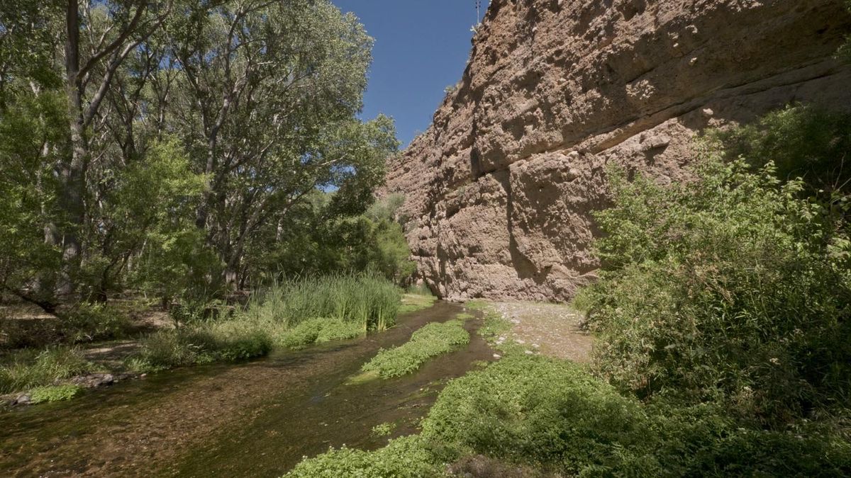 Secrets-Of-Arizona8217s-Aravaipa-Canyon-Springs secrets-of-arizonas-aravaipa-canyon-springs