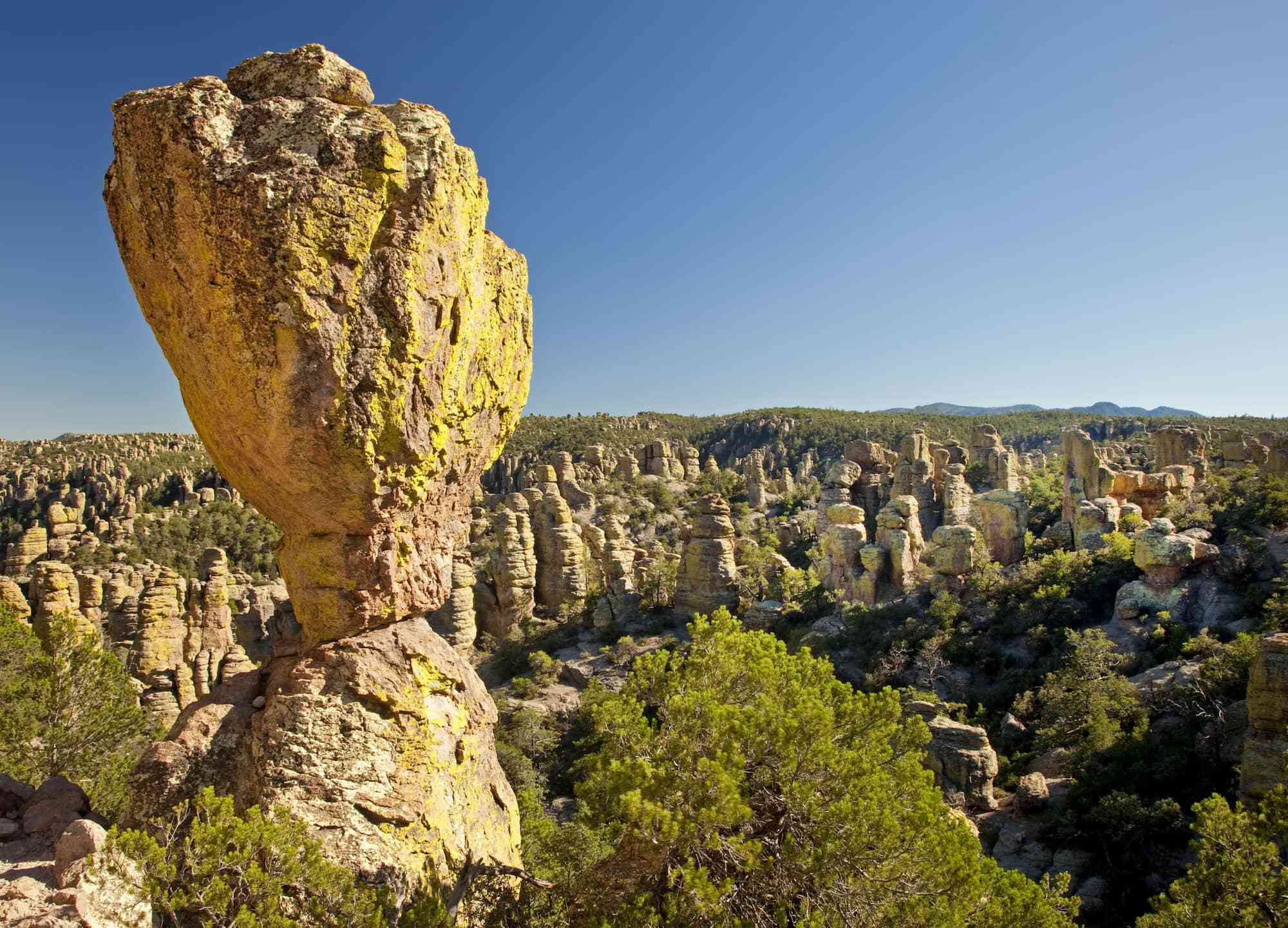secrets-of-arizonas-desert-sky-islands