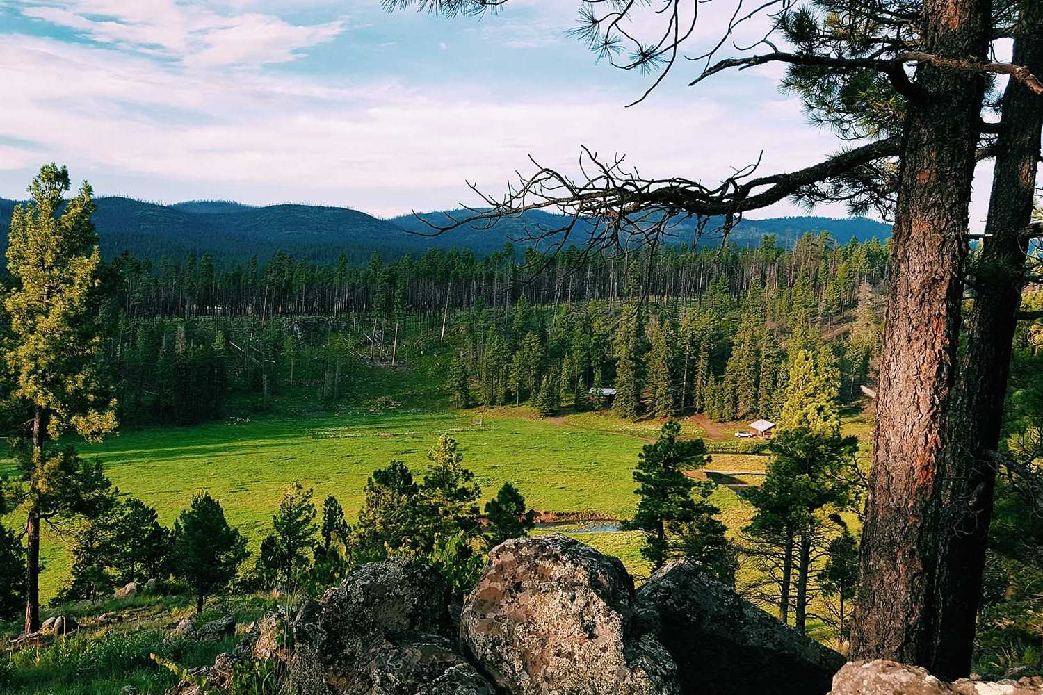 secrets-of-arizonas-hummingbird-gardens