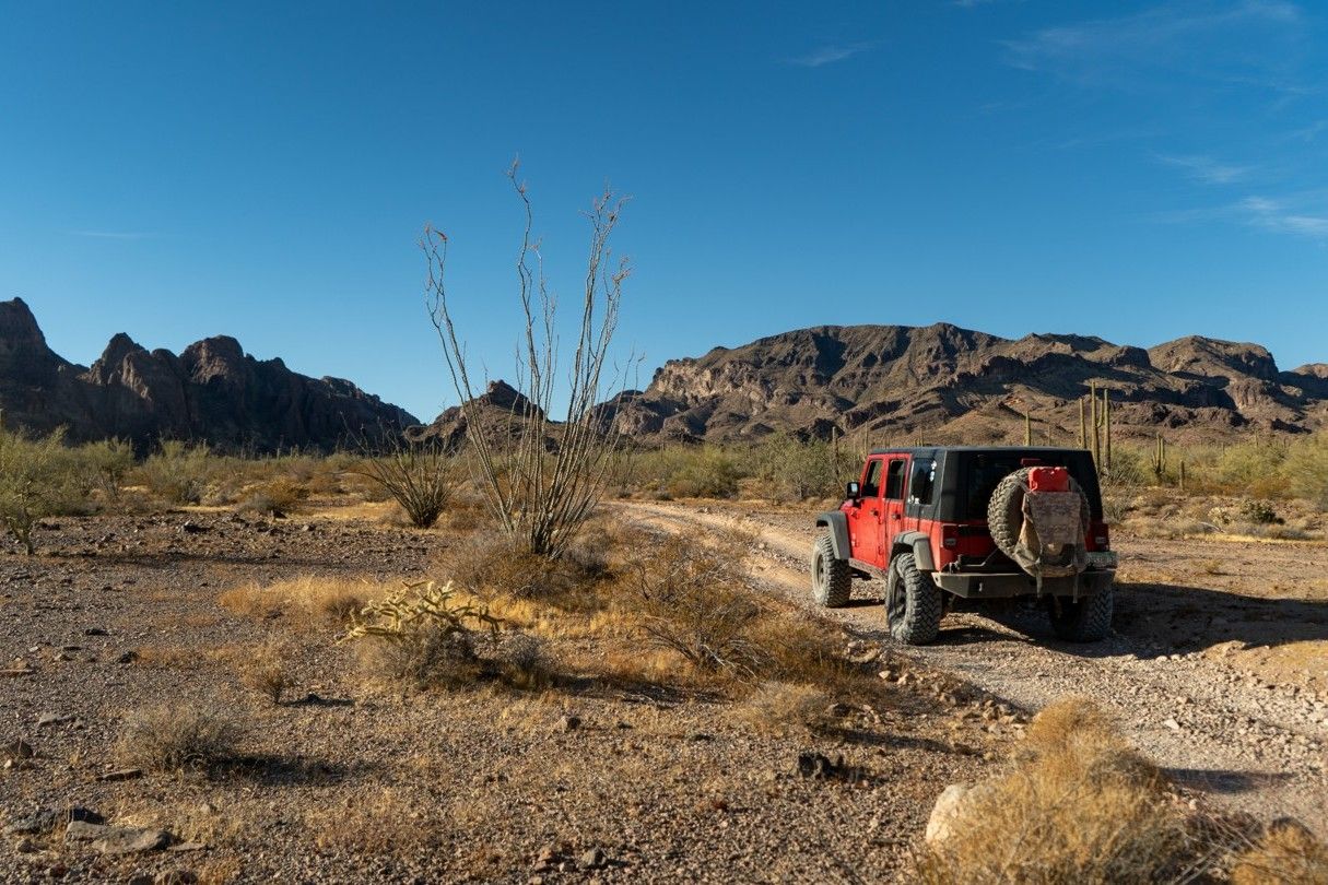 Secrets-Of-Arizona8217s-Kofa-Mountains-Springs secrets-of-arizonas-kofa-mountains-springs