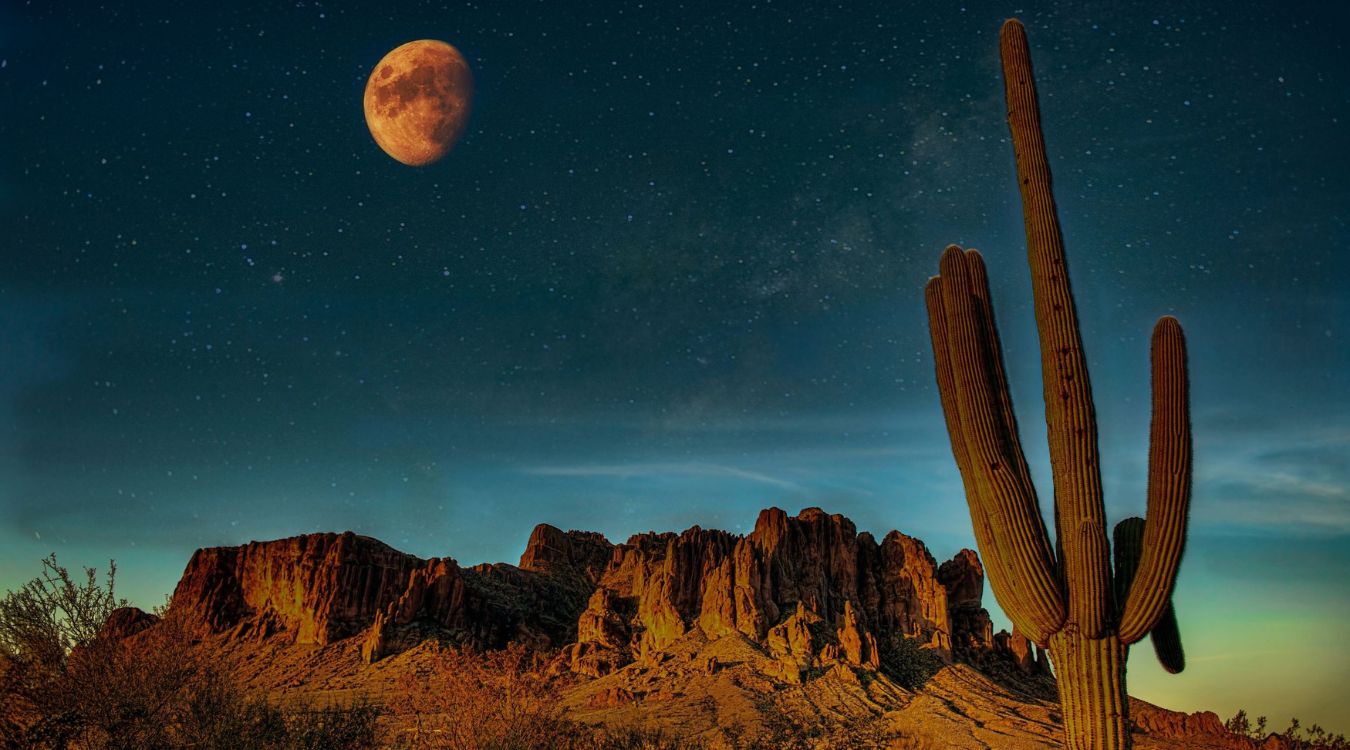 Secrets-Of-Arizona8217s-Moonlit-Desert-Landscapes secrets-of-arizonas-moonlit-desert-landscapes