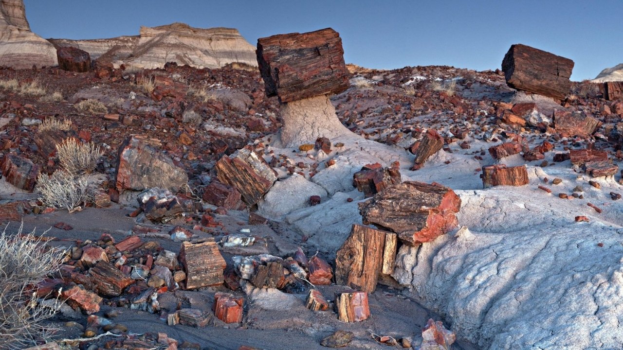Secrets-Of-Arizona8217s-Petrified-Forest-Landscapes secrets-of-arizonas-petrified-forest-landscapes