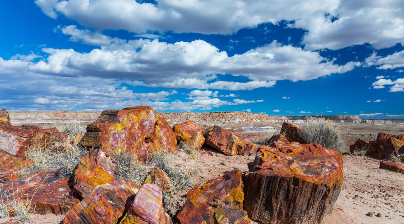 secrets-of-arizonas-petrified-forest-stone-hunting-blinds