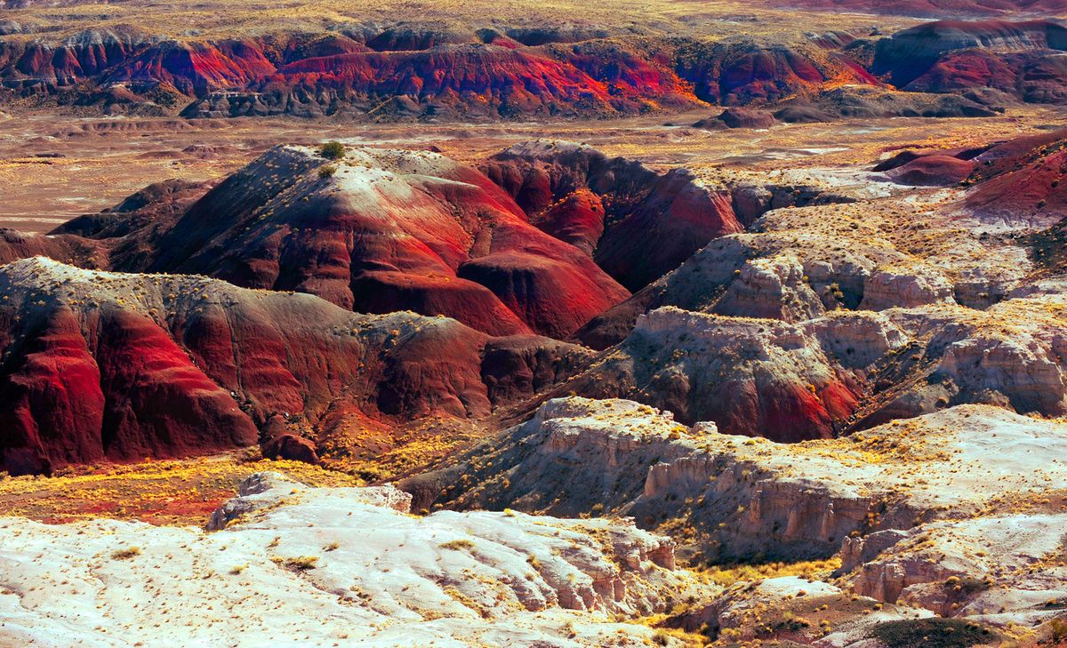 secrets-of-arizonas-rainbow-forest-plateaus